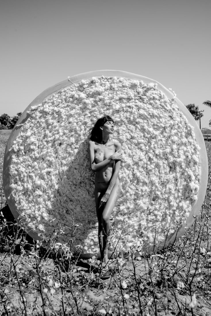 Cotton - Ingrid Sousa & Luciano Freire Image 13
