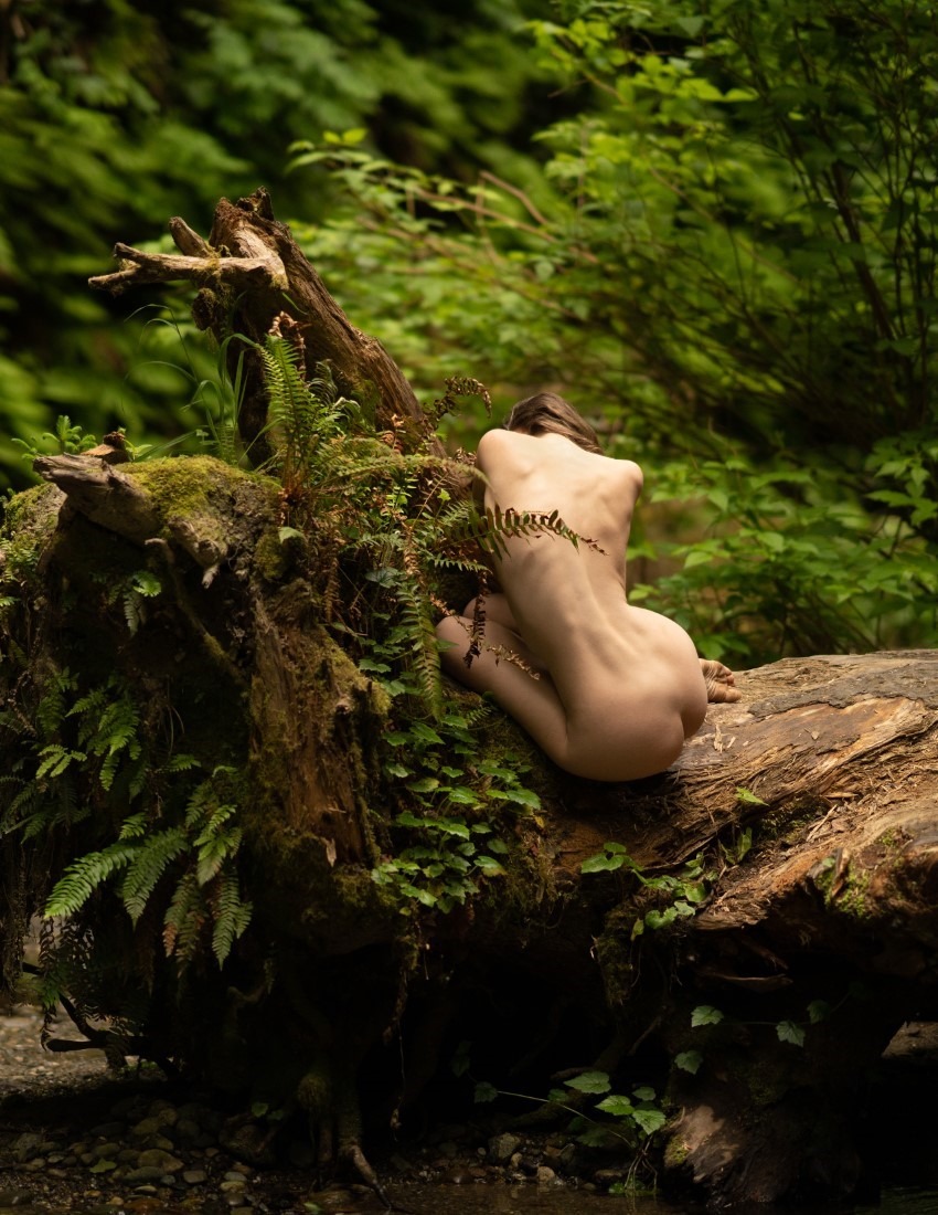 Sienna In The Redwoods - Sienna Hayes & Don Albonico Image 4