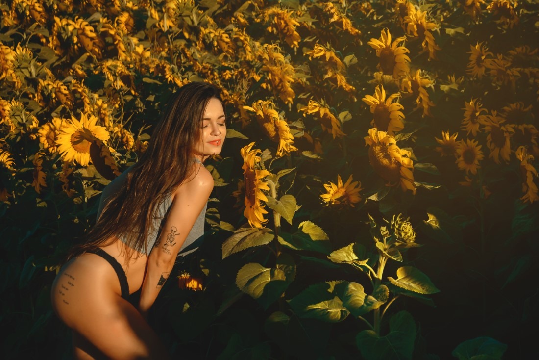 Sunflower - Isabela Simas & Luciano Freire Image 4